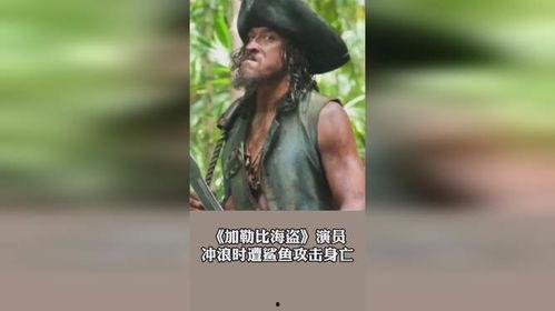鲨鱼演员表